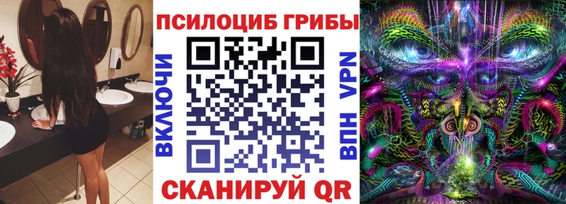 blacksprut ссылка  Ермолино  Псилоцибиновые грибы Psilocybe  закладки 