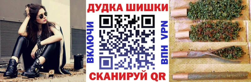 где купить наркоту  Ермолино  mega рабочий сайт  Каннабис сатива 